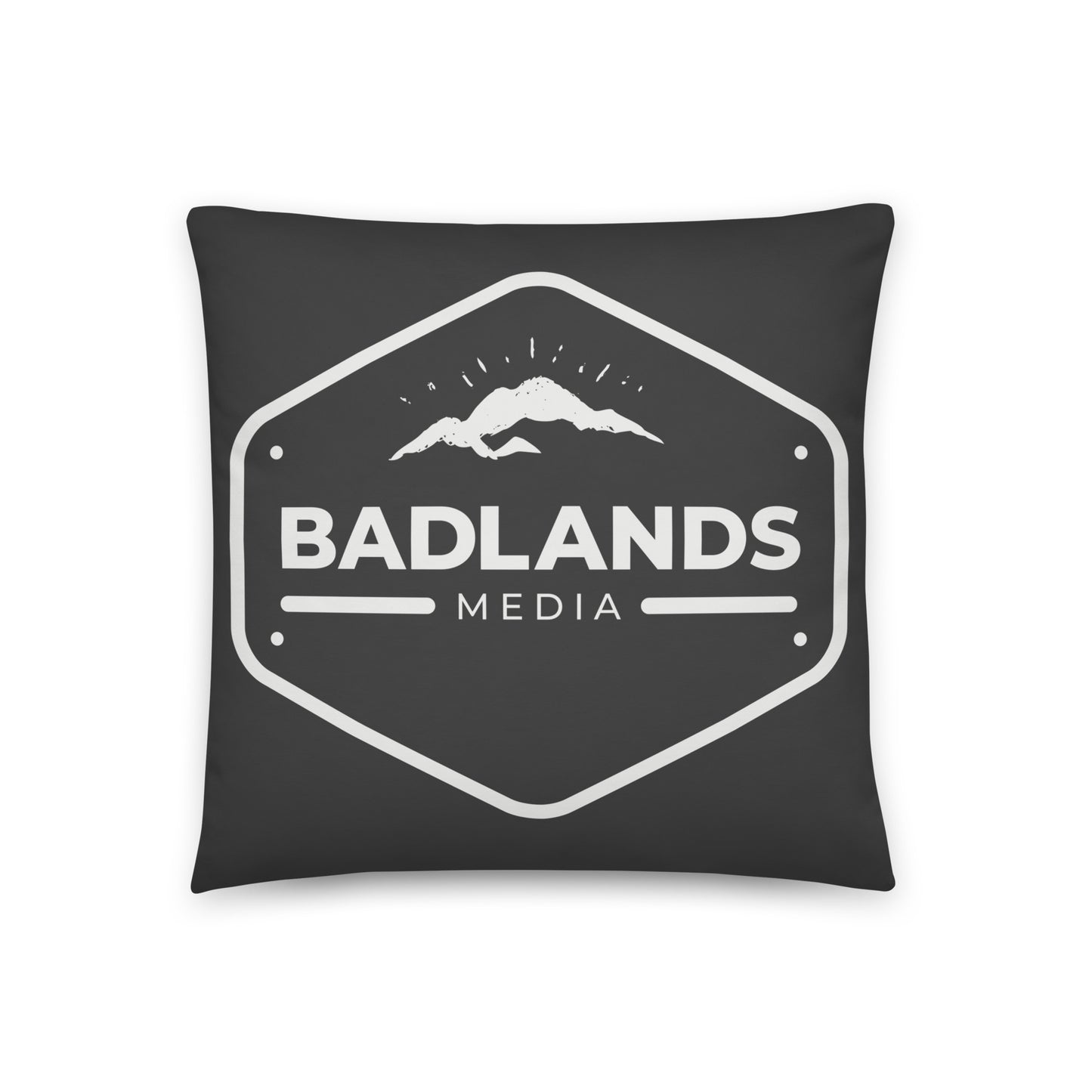 Badlands Square Pillow in charcoal