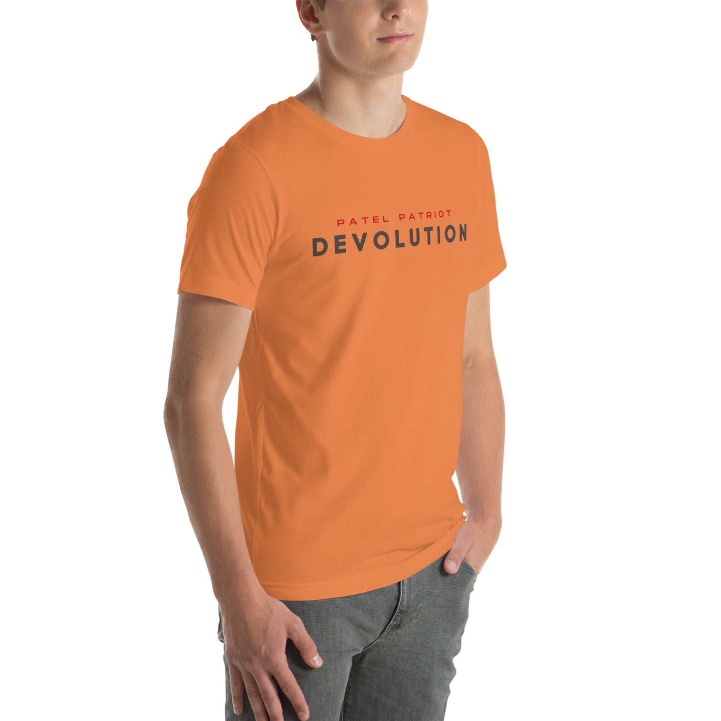 Devolution Unisex t-shirt (gray and red logo)