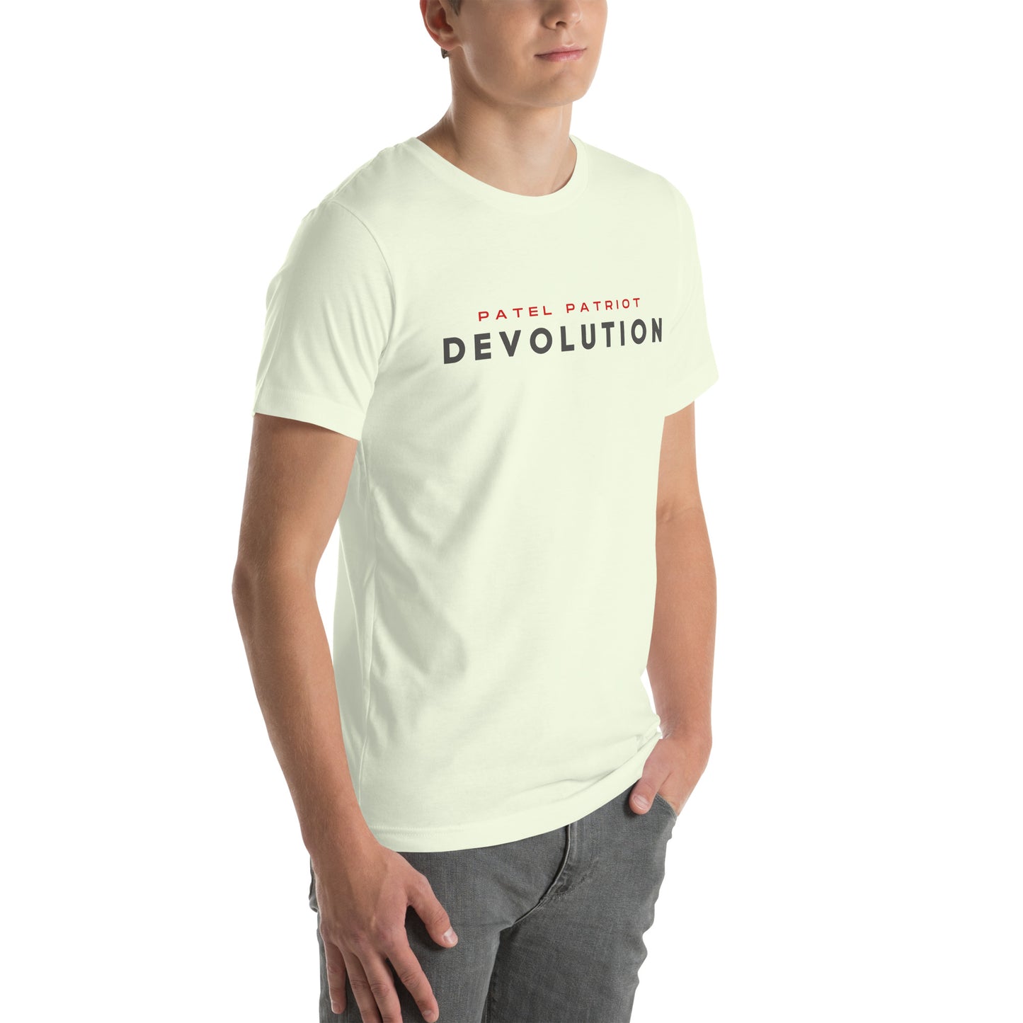 Devolution Unisex t-shirt (gray and red logo)