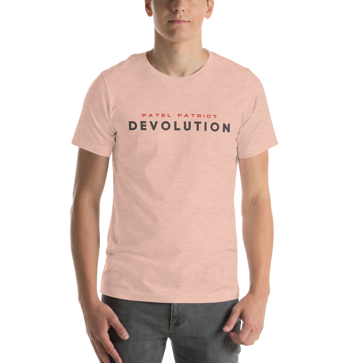 Devolution Unisex t-shirt (gray and red logo)